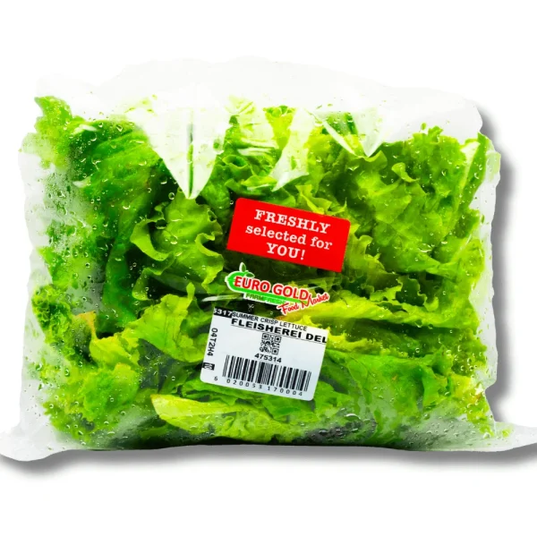 EuroGold Summer Crisp Lettuce – Fresh and Crisp