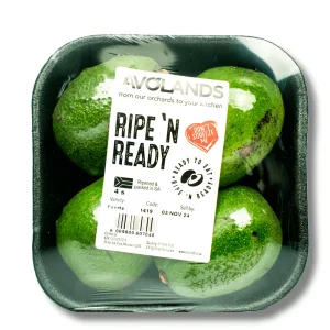 Avoland 4-Pack Avocado