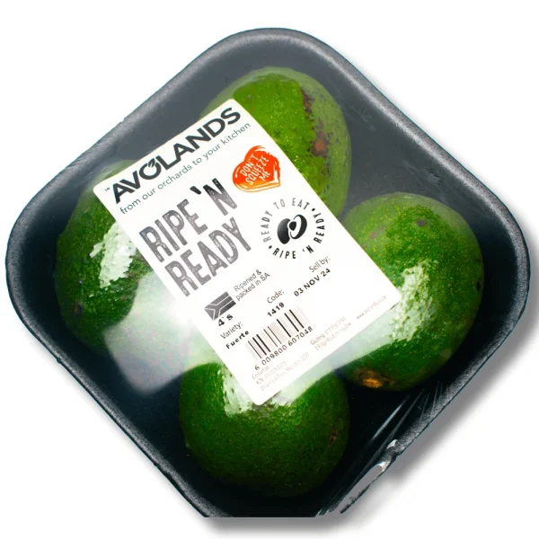 Avoland 4-Pack Avocado